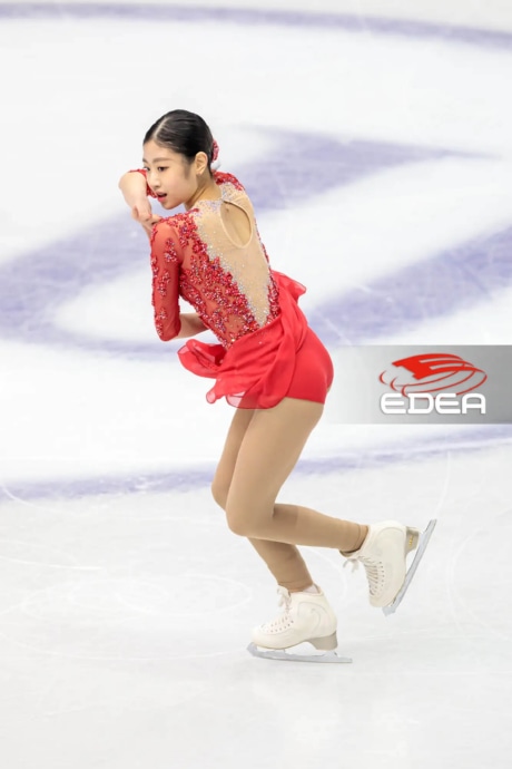 Ice Gallery Skates U.S.