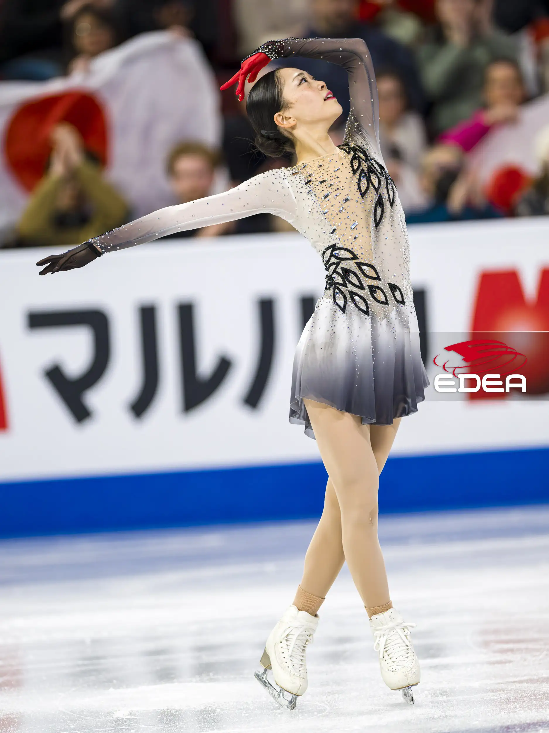 Ice Gallery Skates U.S.